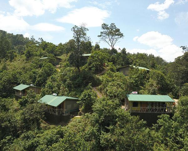 Gorilla Hills Eco-Lodge Kisoro Zewnętrze zdjęcie