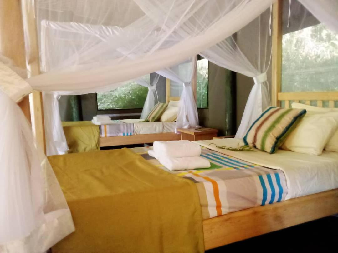Gorilla Hills Eco-Lodge Kisoro Zewnętrze zdjęcie
