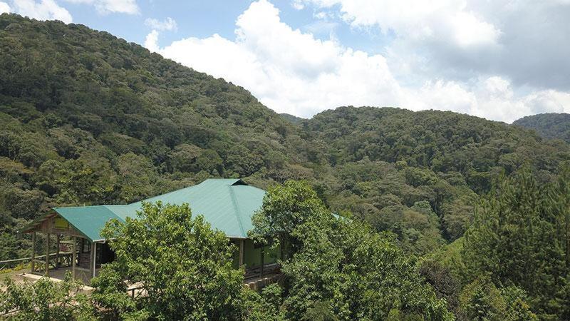 Gorilla Hills Eco-Lodge Kisoro Zewnętrze zdjęcie