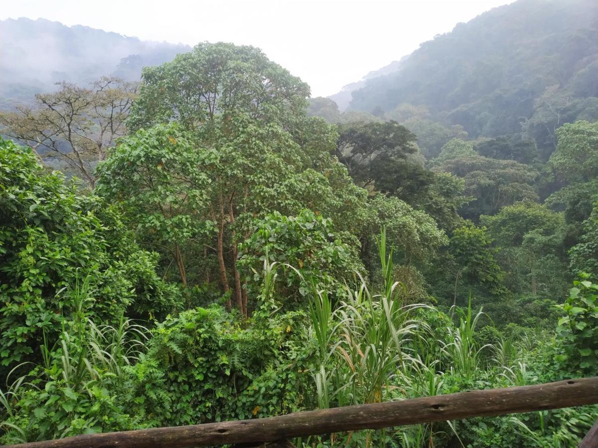 Gorilla Hills Eco-Lodge Kisoro Zewnętrze zdjęcie