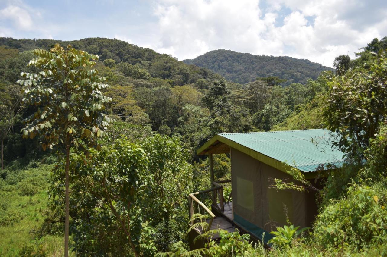 Gorilla Hills Eco-Lodge Kisoro Zewnętrze zdjęcie