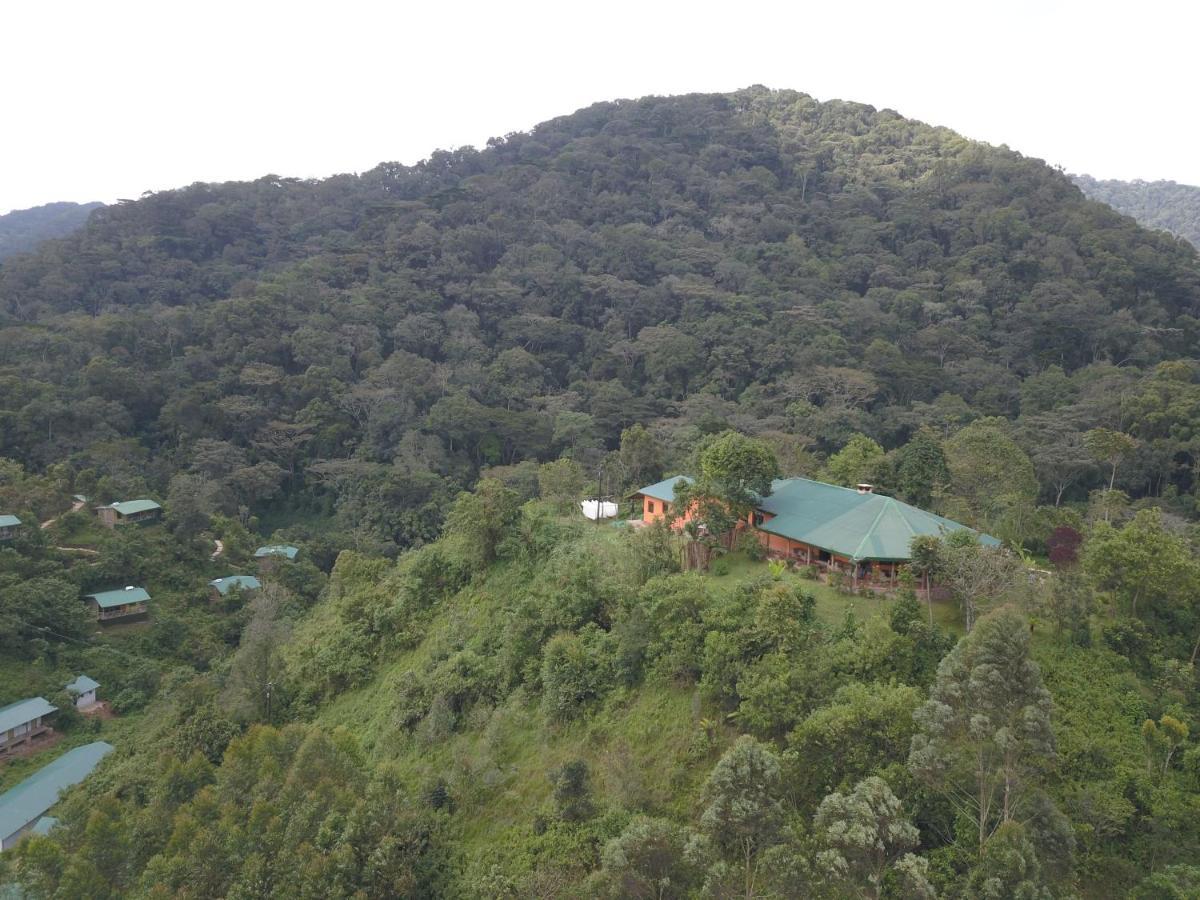 Gorilla Hills Eco-Lodge Kisoro Zewnętrze zdjęcie
